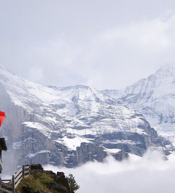 Excursión a Jungfraujoch dese Ginebra